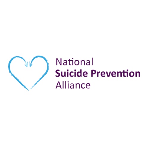 Dr. Ann Luce elected to National Suicide Prevention Alliance Steering Group